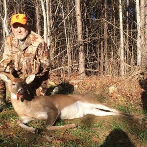 Meet your Posher, Don